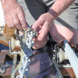 Carabiner attachedHP