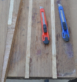 Many of the holly strips needed