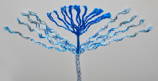 This is 12-strand-Dyneema rope showing the inner and outer strands.