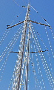 The birds perch anywhere on a boat and their droppings can spoil a deck.