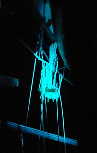 Reflection of the stb'd nav light.